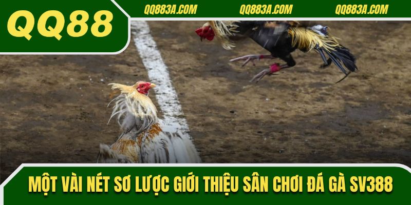 Một vài nét sơ lược giới thiệu sân chơi đá gà SV388